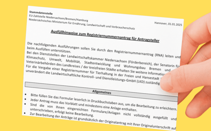 Ausfüllhinweise (1)