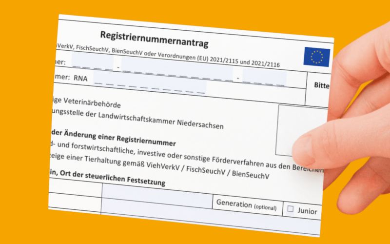 Registriernummerantrag